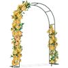 FIVMEN Arco per rose in metallo, 240 x 192 x 38 cm, resistente alle intemperie, per piante rampicanti e rose, colore: verde