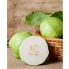 Generico Pianta di GUAVA BIANCA 'Frutto Grande' Psidium Guajava Thai White - in vaso Ø 18 cm - h. 80/100 cm