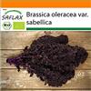 SAFLAX - - BIO - Cavolo riccio - Krauser rosso - 50 semi - Brassica oleracea var. sabellica