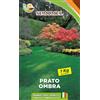 SEMIMEL Prato Ombra - Miscuglio per Zone Ombreggiate, Terreni Freschi e Acidi, 1 kg di Semi 3 confezioni