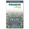 Franchi Sementi per prato di Margherite Franchi Confezione da 100 grammi