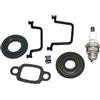 ICOOYO Guarnizione cilindro per Husqvarna 135 135E 140 140E 435 435 II 435E 435E II 440 440 II 440E 440E II Jonsered CS2240 McCulloch CS350 CS390 CS410 RedMax GZ38 1