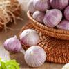 Generic Bulbi d'aglio, balcone serra Aglio resistente, resistenti resistenti all'esterno piantine da aglio, da giardino roccioso acquistare 2pcs
