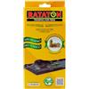 RATATON - Trappole di colla per ratti, topi e serpenti, 2 vassoi con veri semi di mandorla e odore di arachidi che attirano tutti i tipi di ratti e topi