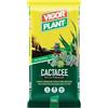 Generico Terriccio Professionale per Cactacee e Piante Grasse 20L | Substrato Drenante per Cactus, Crassulacee e Piante Grasse - Terriccio per Rinvaso con Elevata Aerazione e Drenaggio
