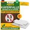 GREEN GUARDIA Trappola per coleotteri con speciale materiale adesivo - 6 trappole per insetti - ecologiche contro tutti i coleotteri, trappola senza sostanze chimiche con forte superficie adesiva, atossica e