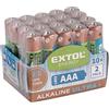 EXTOL LIGHT Batterie alcaline, 20 pezzi, 1,5 V AAA (LR6)