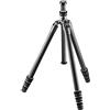 Gitzo leggero Traveler serie 1 treppiede, in fibra di carbonio, argento & nero (GT1545TUS)