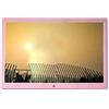DSeenLeap Cornice per Foto 15.4Inchampagne Gold, Oro Rosa Digitale, Album Fotografico elettronico ad Alta Definizione, Elettronica per la casa, Macchina pubblicitaria (Oro Rosa)