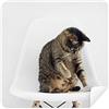 DIYthinker Animal Funny azione Cat spara occhiali di pulizia del pulitore dello schermo in camoscio tessuto 2PCS