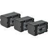 vhbw 3x batteria compatibile con Panasonic NV-EX21, NV-EX1, NV-DS99, NV-GS1, NV-DS89, NV-EX3, NV-DS990 videocamera camcorder (1700mAh, 7,2V, Li-Ion)