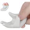 NAMOARLY Mano in Ceramica Bianca Elegante per Fotografia e Decorazione | Ceramica Liscia, Adatta ai Gioielli, Forma Classica, Accessorio per Set Fotografico e Ambiente Domestico