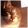 DIYthinker Animal Sentimental Cat Simpol spara occhiali panno di pulizia del pulitore dello schermo 5PCS Gift