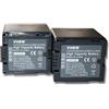 vhbw 2 x Batterie VHBW 1500mAh per Videocamera Panasonic VDR-D100, VDR-D150, VDR-D160, VDR-D220, VDR-D250, VDR-D300, VDR-D310, VDR-M30, VDR-M50