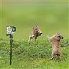Pmsanzay Accessori per montaggio a terra per fotocamere da trail e paletti | lunghezza regolabile | inclinazione regolabile 1/4 - 20 testa a sfera | adatto per fotocamera scouting Hunt e Gopro Action Camera