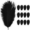 Anseom 12 Pezzi Piuma di Struzzo 8-10 Pollici Naturale per Matrimoni, Artigianato, Costumi, Decorazione Natalizia e Feste a Tema (Nero)
