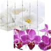 Mendler Paravento divisore Doppia Immagine separè Decorativo 6 Pannelli M69-180x240cm Orchidee