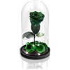 Aluisi Fiori - Rosa Stabilizzata Verde - Base in Legno Nero con LED - Rosa Stabilizzata Vera in Campana di Vetro - Fiori Stabilizzati