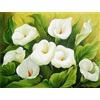 Tifnuer Diamond Painting Grandi Dimensioni Fiore bianco Diamanti Painting Kit Completo 5D Fai Da Te Kit Mosaico, Diamond Dots Pittura Diamante Natale Adulti Regalo per Decorazione Casa 80x115cm I-13196