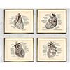 BINGJIACAI Cuore anatomico Umano Poster Anatomia Medica Cardiologo Regalo Tela Pittura Clinic Wall Art Picture Print Doctor Office Decor-35x50cmx4 Senza Cornice