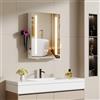 Ztexkee Specchio Bagno Contenitore con Luce e Antiappannamento Armadietto Bagno a Parete con Presa, Supporto per asciugacapelli e 2 Mensola Regolabile, LED Specchio Contenitore Bagno 50x70x15 cm