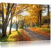 Pixxprint Soleggiato Lake Park Stampa su Tela 80x60 cm Artistica murale