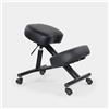 Produce Shop Sedia ergonomica posturale Sgabello Svedese Metallo Similpelle Balancesteel Lux
