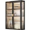 Generic Armadietto da parete in metallo nero con articoli da toeletta antipolvere da appendere, per cosmetici e profumi, ideale per bagno, soggiorno, cucina o armadio (dimensioni: 50 x 70 x 14 cm)