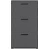 AVANTI TRENDSTORE - Parabita - Scarpiera in legno laminato nel colore antracite con 3 alette. Dimensioni LAP ca. 59x103x17 cm