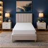 Baldiflex Emporio Materasso Memory 100x190x23 cm WinnerSleep Top 7 Zone, Sfoderabile con Zip + Cuscino Omaggio