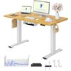 FLEXISPOT Scrivania Regolabile in Altezza a 2 Motori 120x60 cm con Piano Unico, Pannello con Memoria, Portata 100 kg