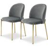 Marvin Sedia in Velluto con Gambe Oro Chiara, Sedie in Metallo Dorato, Poltroncina con Seduta Imbottita per Sala da Pranzo Salotto Soggiorno di Design Moderno (2, Grigio/Oro)