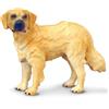 Collecta - Col88116 - Golden Retriever - Taglia M