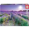 Educa - Puzzle 1000 pezzi Bicicletta nei campi di lavanda | Puzzle natura | Misura 68x48 cm | Include colla Fix | Per adulti 14+ (19255)