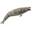 CollectA Grigio Whale
