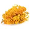 WWS War World Scenics War World Scenics Muschio Naturale per Fogliame da Modellismo Arancione 60g - Lichene Modellismo Ferroviario Scenario Alberi Cespugli Wargame Diorama Materiali Base Spedizione Tracciata