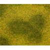 Faller 180.488 - Premium segmento Paesaggio, Prato, Verde Chiaro