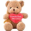 MeterBear Orsacchiotto di peluche personalizzato con foto e testo su cuore, Teddy Bear Orsetto di peluche con cuore come regalo di Mi dispiace per lei e lui per San Valentino, Compleanno (25cm)