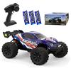 Ledovan 100 KM/H, motore senza spazzole, 1:14 ad alta velocità RC Monster truck Off-Road per adulti, 4 WD All Terrain RC Auto, 3 batterie (blu)
