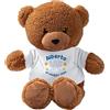 Generico Teddy morbido Orsacchiotto di Peluche con Maglietta Personalizzabile.Perfetto come idea regalo, Bomboniera per Nascita, Battesimo,compleanno, eveni, Natale personalizzato