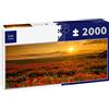 Lais Puzzle Campo di Papaveri al Tramonto, Panorama 2000 Pezzi