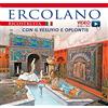 Archeolibri Ercolano ricostruita con il Vesuvio e Oplontis. Con video scaricabile online