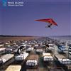 LEGACY RECORDINGS Momentary Lapse Of Reason
