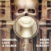 Import Brain salad surgery
