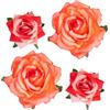 mishdacthgd Fermagli per capelli a forma di rosa, 4 pezzi, in tessuto, con fiori messicani, per matrimoni, feste e festa della mamma (2 misure) (rosa rosso)