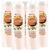 Sunsilk 5x Sunsilk Shampoo Ricarica Naturale con Olio di Argan & di Mandorle per Capelli Fragili - 5 Flaconi da 250 ml