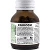 Il Regno Vegetale EQUICOM Equiseto Composto 125 compresse con Fieno Greco Estratti Secchi Prodotto Italiano Made In Italy