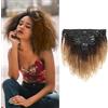Dsoar 20 Pollici Capelli Umani Ricci Kinky Clip In Estensioni 8pcs/set Afro Kinky Ricci Trame Doppie per Donne Colore Ombre 120 Grammi/Set