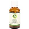 R V Essential Olio essenziale aglio | Allium Sativum | Olio aglio | Per capelli | Per cucinare | 100% naturale puro | Distillato a vapore | Grade terapeutico | Garlic Essential Oil | 30ml | 1.01oz By R V Essential