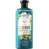 Herbal Essences bio: Renew shampoo 400 ml olio di argan